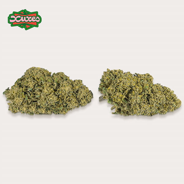 Watermelon CBD > Xuxes | Productos CBD